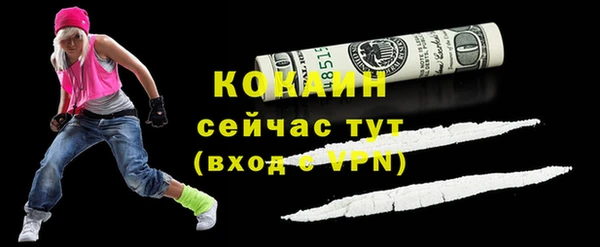 винт Богданович