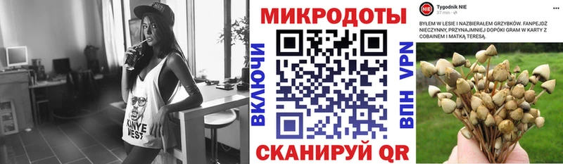 Псилоцибиновые грибы GOLDEN TEACHER  купить   MEGA tor  дарк нет состав  Ахтырский 